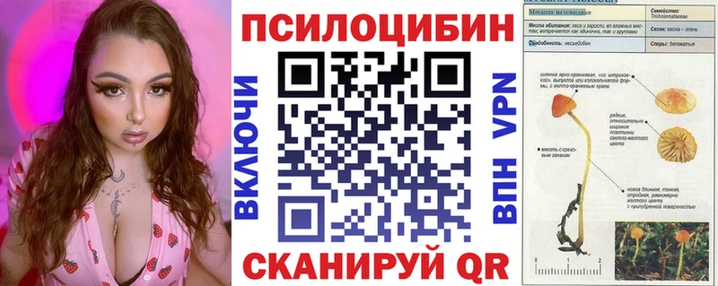 Псилоцибиновые грибы GOLDEN TEACHER  Купить закладки  Сызрань 